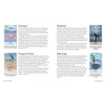 Bird Messages kortos Cico Books